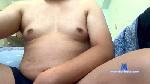lottebear cam4 livecam show performer room profile