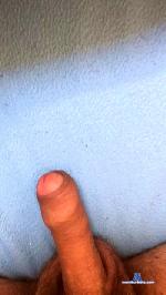 cuarentine cam4 livecam show performer room profile