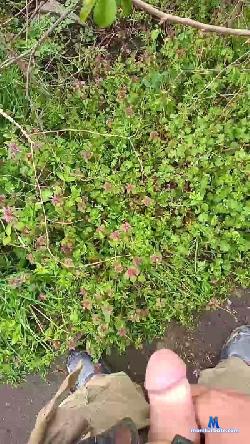 sky7887sn cam4 live cam performer profile