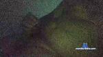 novinho354 cam4 livecam show performer room profile
