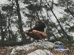 INKED_LARA666 cam4 livecam show performer room profile