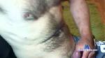 carlhappyer cam4 livecam show performer room profile