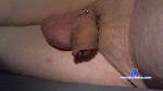 Weratin cam4 livecam show performer room profile