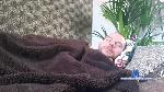 Paolo54600 cam4 livecam show performer room profile
