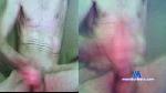deutschcu cam4 livecam show performer room profile