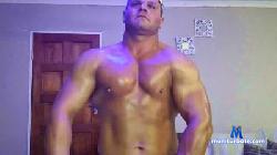 Sinfonero cam4 live cam performer profile