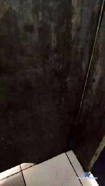 Gabrielhf3 cam4 livecam show performer room profile