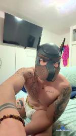 Serphi29 cam4 livecam show performer room profile