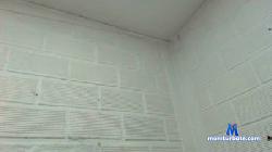 littledevil_lat cam4 live cam performer profile