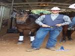 Cowboyswagxxx cam4 livecam show performer room profile