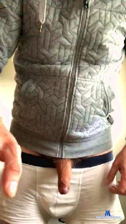remous_vent cam4 live cam performer profile