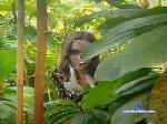 MaxineHiggason cam4 livecam show performer room profile