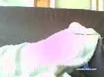 zack4900 cam4 livecam show performer room profile