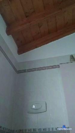 algor2 cam4 live cam performer profile