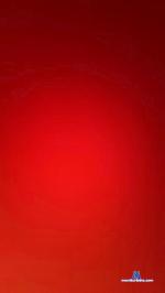 Cavalobrasil cam4 livecam show performer room profile