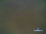 Nartsex cam4 livecam show performer room profile