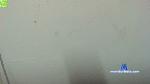 rosse_white cam4 livecam show performer room profile