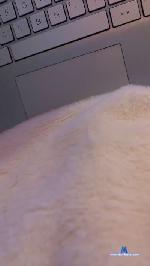 deusa25 cam4 livecam show performer room profile