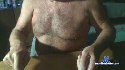 pavbaermos cam4 live cam performer profile