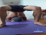 Reidevarinhas99 cam4 livecam show performer room profile