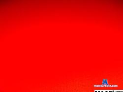 dionepablo cam4 live cam performer profile