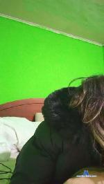 BbysLunaZoe cam4 livecam show performer room profile
