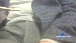 camuff cam4 livecam show performer room profile