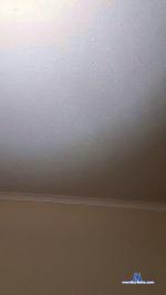 Kobque cam4 livecam show performer room profile