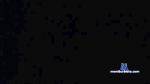 john965 cam4 livecam show performer room profile
