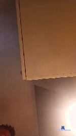 HECTOrr1r1 cam4 livecam show performer room profile