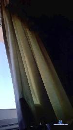 george381 cam4 livecam show performer room profile