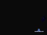 ausmale1 cam4 livecam show performer room profile