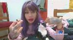 Pandapandi cam4 livecam show performer room profile