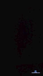 penenegrobta cam4 livecam show performer room profile