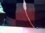 Surfcast cam4 livecam show performer room profile