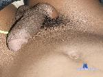 Blackstalliones cam4 livecam show performer room profile