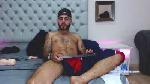 theo_wolf cam4 livecam show performer room profile