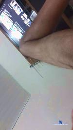 roberto1600 cam4 livecam show performer room profile