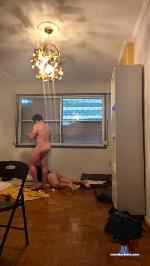 Exibidogay cam4 livecam show performer room profile