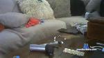 ianaki80 cam4 livecam show performer room profile