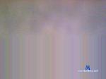 4nuf cam4 livecam show performer room profile