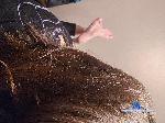 GoddessDaisy224 cam4 livecam show performer room profile