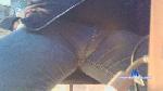 pisellino34 cam4 livecam show performer room profile