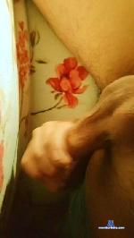 cholovino18 cam4 livecam show performer room profile