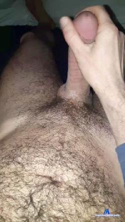 iinspiron79 cam4 live cam performer profile