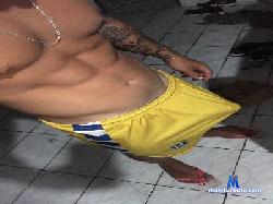 pikkudosarado cam4 live cam performer profile