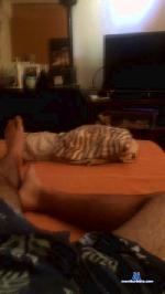 Juli0195 cam4 livecam show performer room profile