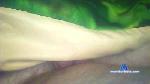 zilviux111 cam4 livecam show performer room profile
