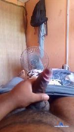 Gustavit09 cam4 livecam show performer room profile