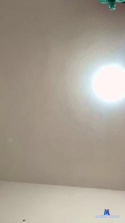elora3 cam4 live cam performer profile